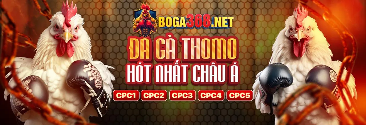 Hình ảnh chính hướng dẫn chiến lược casino trực tuyến xx88a nhà cái